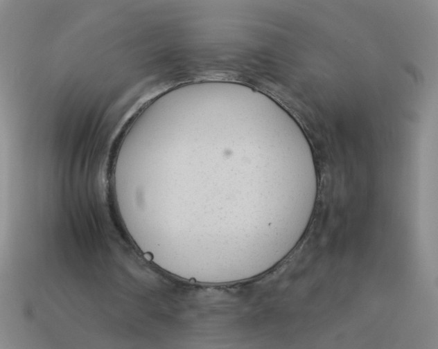 X0000113560290200910161502