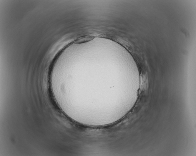 X0000113560291200910161502