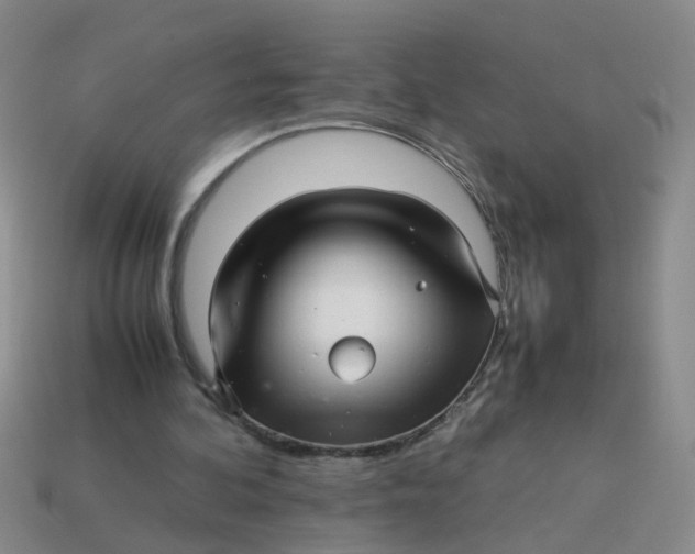 X0000113560292200910161502