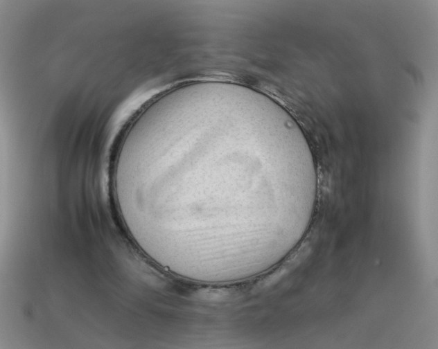 X0000113560294200910161502