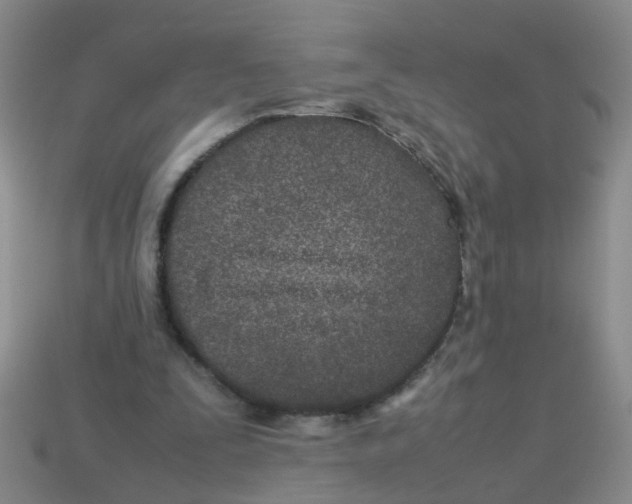 X0000113560295200910161502