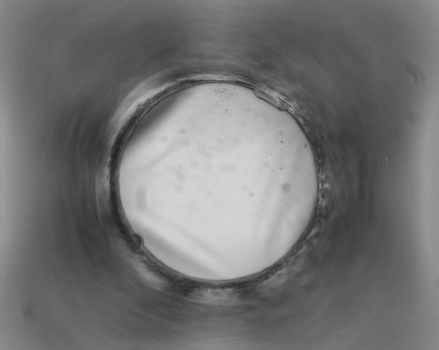 X0000113560296200910161502