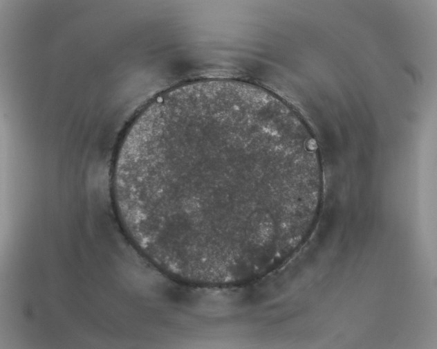 X0000113560297200910161502