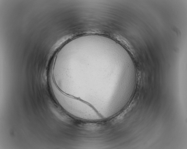 X0000113560298200910161502