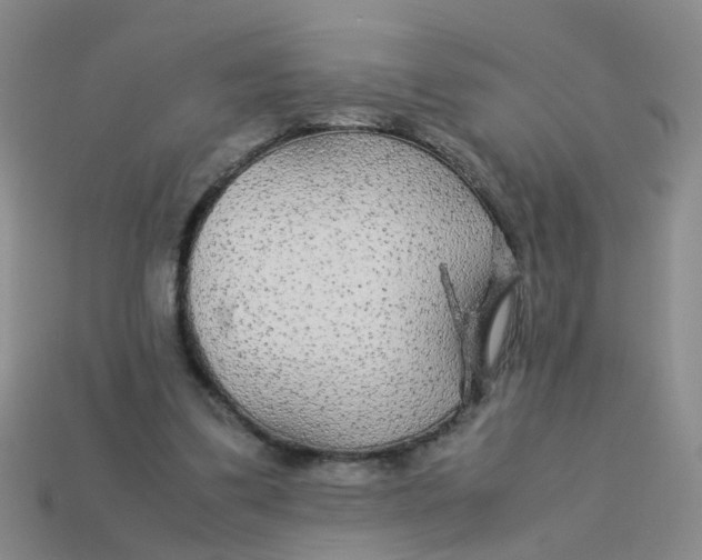 X0000113560299200910161502