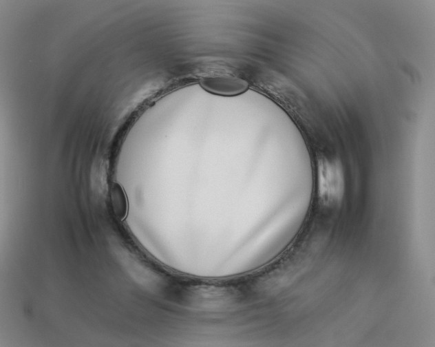 X0000113560300200910161502