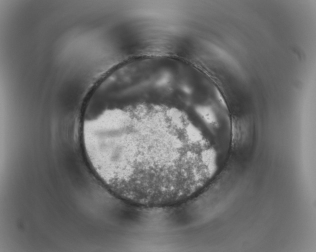 X0000113560301200910161502