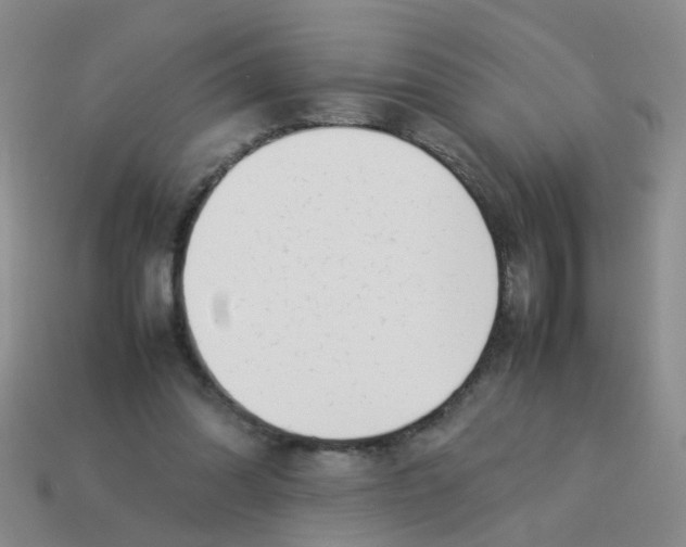 X0000113560302200910161502