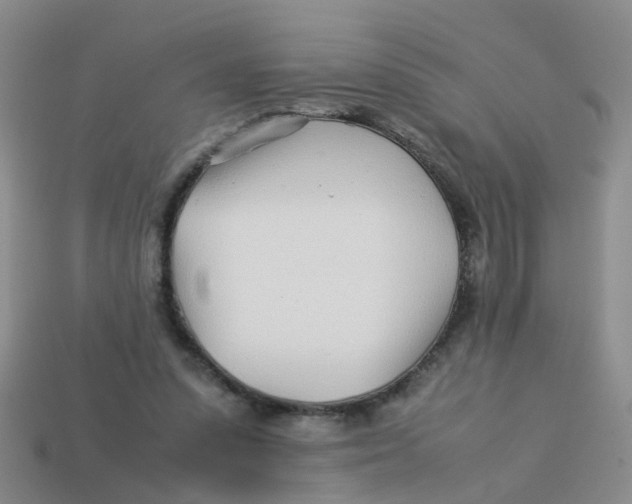 X0000113560303200910161502