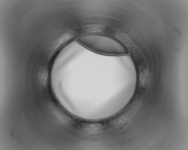 X0000113560304200910161502