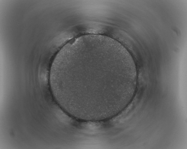 X0000113560305200910161502
