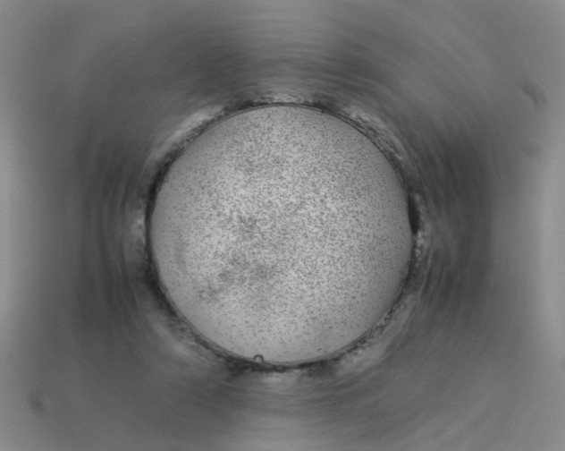 X0000113560306200910161502