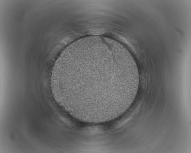 X0000113560307200910161502