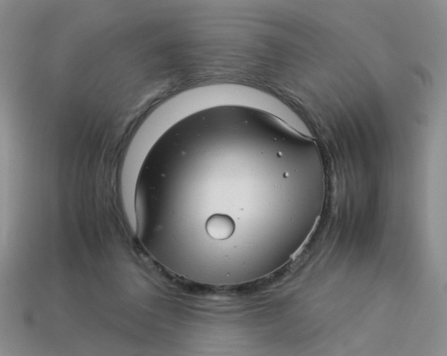 X0000113560308200910161502