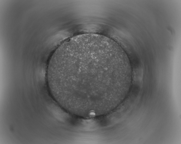 X0000113560309200910161502