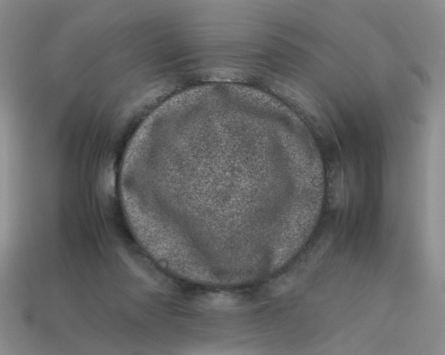 X0000113560310200910161502