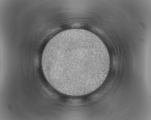 X0000113560311200910161502