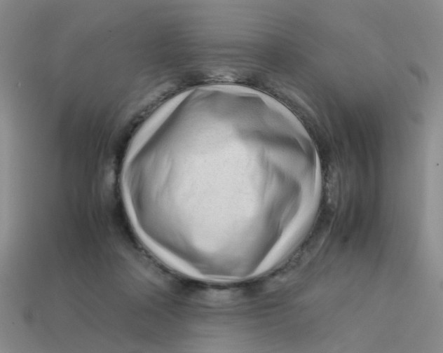 X0000113560314200910161502
