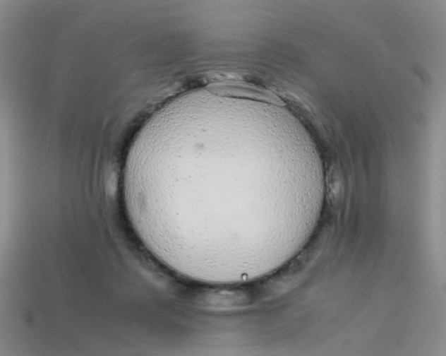 X0000113560315200910161502
