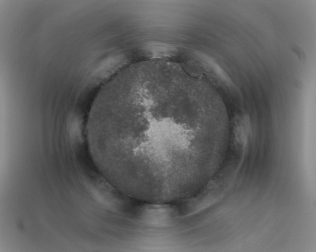 X0000113560316200910161502