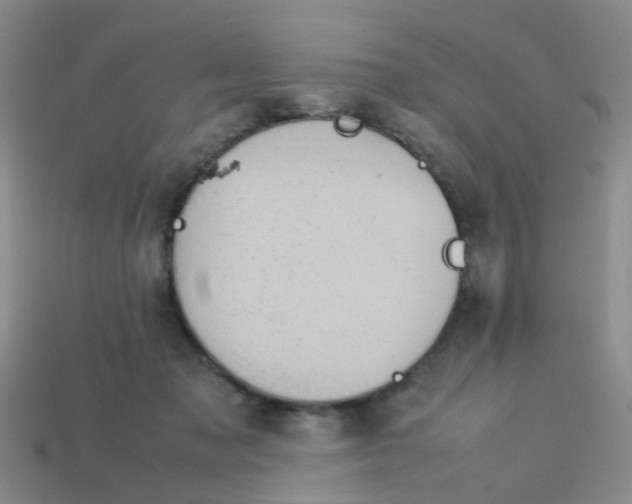 X0000113560317200910161502