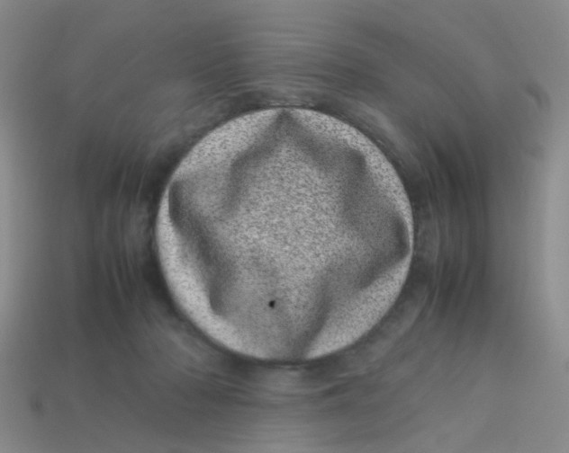 X0000113560318200910161502