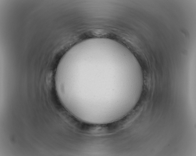 X0000113560319200910161502