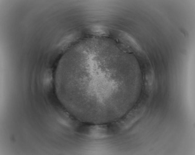 X0000113560320200910161502