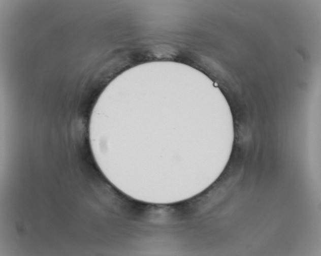 X0000113560321200910161502