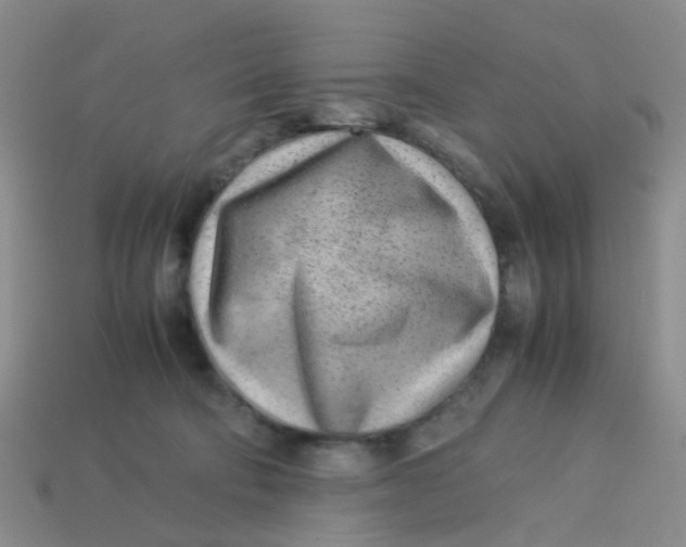 X0000113560322200910161502