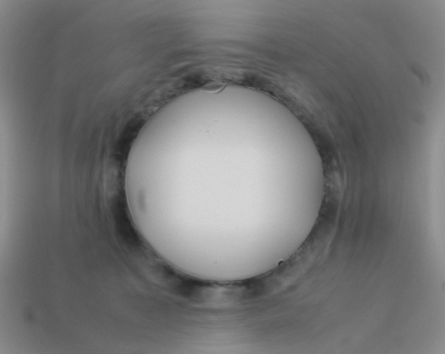 X0000113560323200910161502