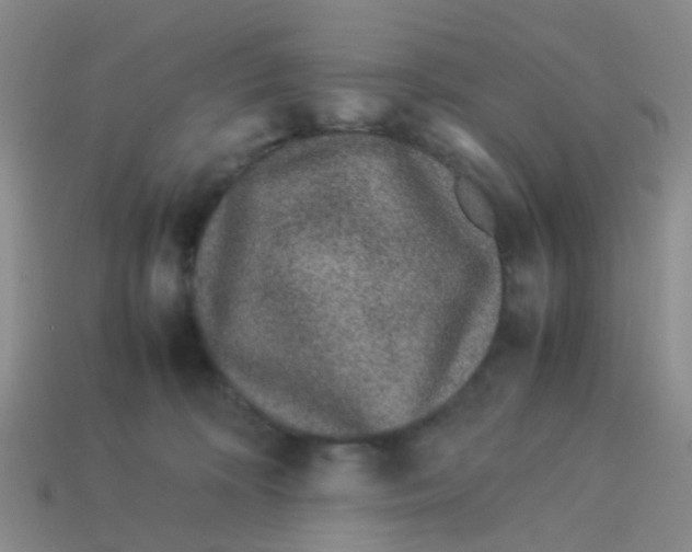 X0000113560324200910161502