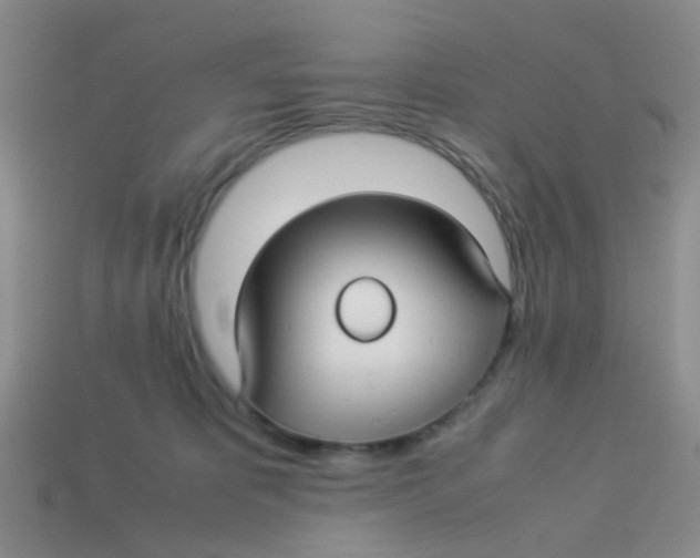 X0000113560325200910161502