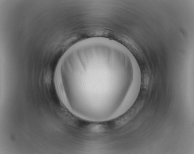 X0000113560326200910161502