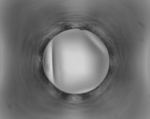 X0000113560327200910161501