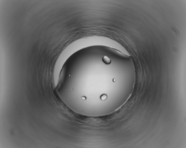 X0000113560328200910161501