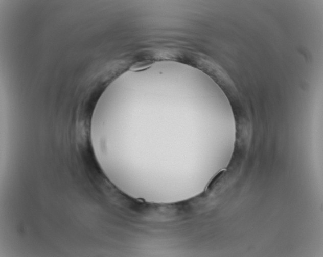 X0000113560329200910161501