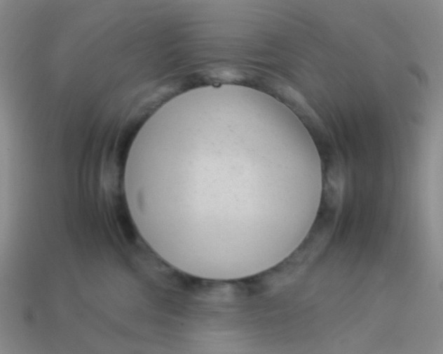 X0000113560330200910161501