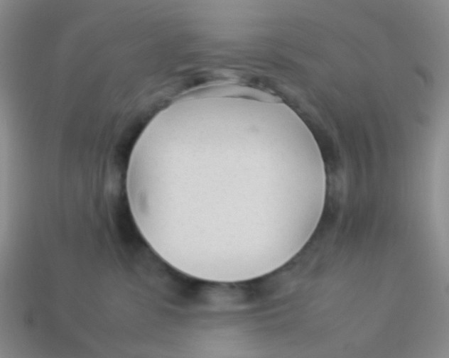 X0000113560331200910161501
