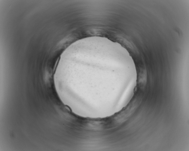 X0000113560332200910161501