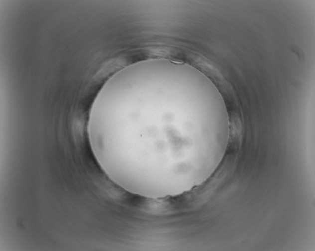 X0000113560333200910161501