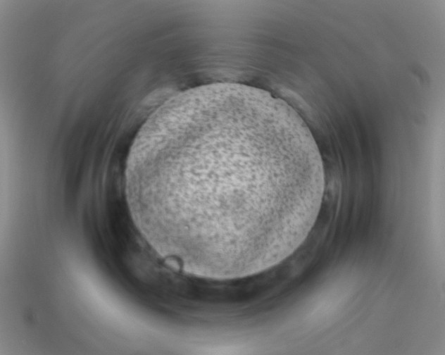 X0000113560334200910161501
