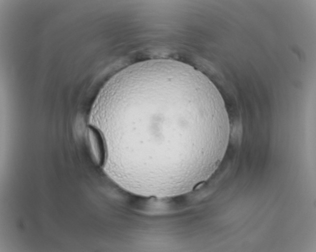 X0000113560335200910161501