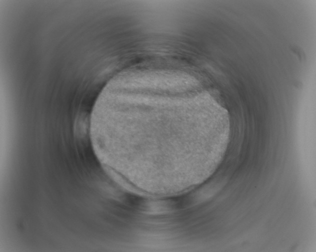 X0000113560336200910161501
