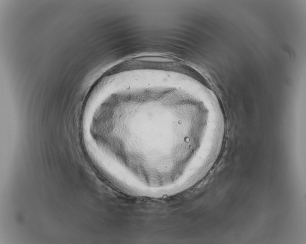 X0000113560337200910161501
