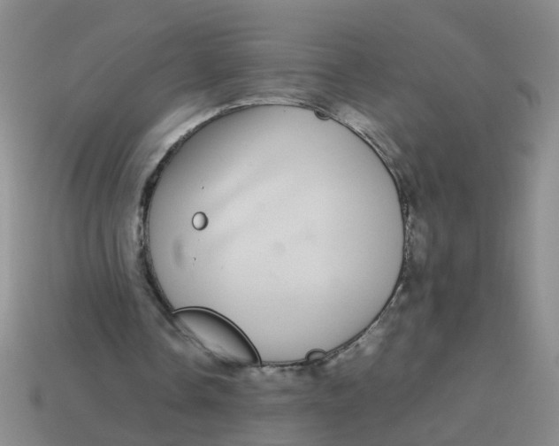 X0000113560338200910161501