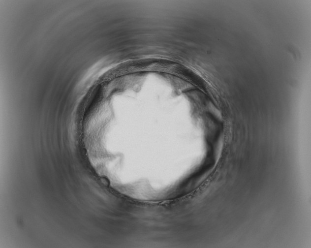 X0000113560339200910161501