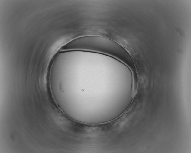 X0000113560340200910161501