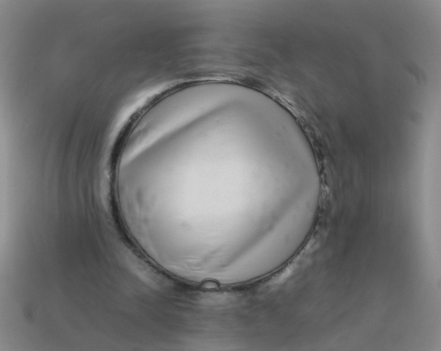 X0000113560342200910161501