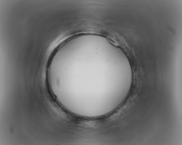 X0000113560344200910161501